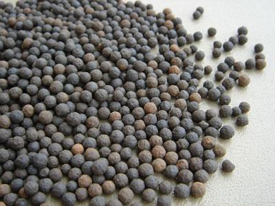生物陶粒滤料的用途